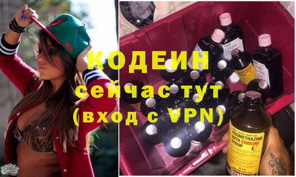 мдпв Волоколамск