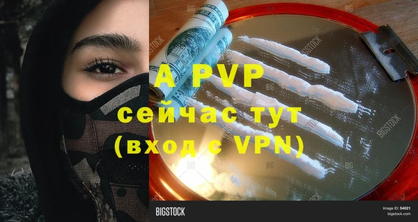 ПСИЛОЦИБИНОВЫЕ ГРИБЫ Верея