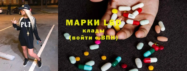 ПСИЛОЦИБИНОВЫЕ ГРИБЫ Верея
