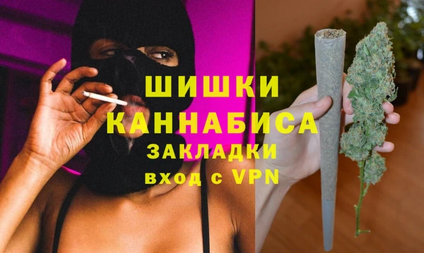 ПСИЛОЦИБИНОВЫЕ ГРИБЫ Верея