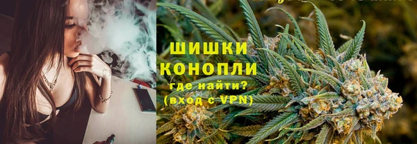 ПСИЛОЦИБИНОВЫЕ ГРИБЫ Верея