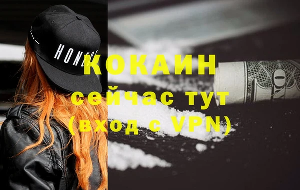 ПСИЛОЦИБИНОВЫЕ ГРИБЫ Верея