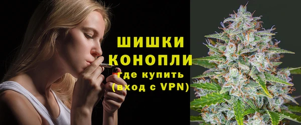 ПСИЛОЦИБИНОВЫЕ ГРИБЫ Верея