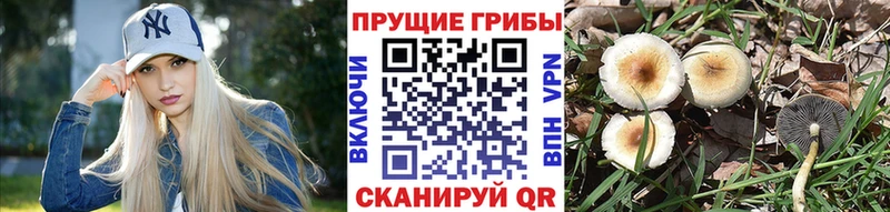 Псилоцибиновые грибы Magic Shrooms  blacksprut ссылка  Кемь 